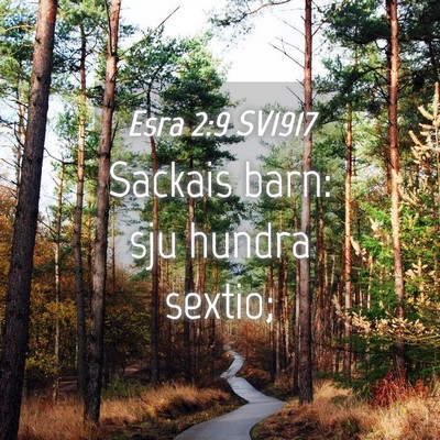 Picture 04 - Esra 2:9 SV1917 - Sackais barn: sju hundra - Bible Verse Picture