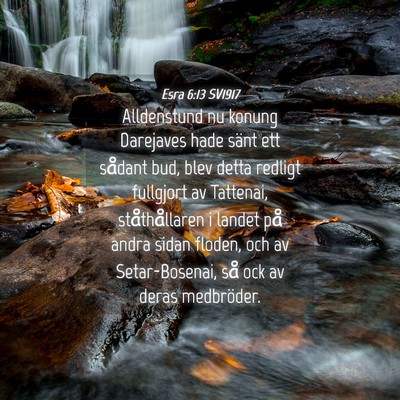 Picture 04 - Esra 6:13 SV1917 - Alldenstund nu konung Darejaves hade sänt ett - Bible Verse Picture