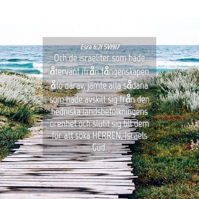 Picture 04 - Esra 6:21 SV1917 - Och de israeliter som hade återvänt ifrån - Bible Verse Picture