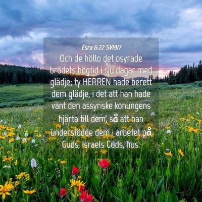 Picture 04 - Esra 6:22 SV1917 - Och de höllo det osyrade brödets högtid i sju - Bible Verse Picture