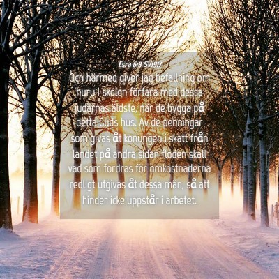 Picture 04 - Esra 6:8 SV1917 - Och härmed giver jag befallning om huru I skolen - Bible Verse Picture