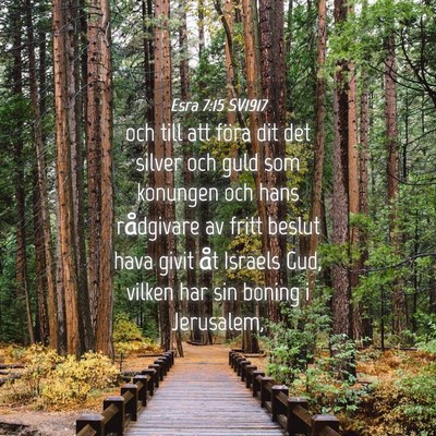 Picture 04 - Esra 7:15 SV1917 - och till att föra dit det silver och guld som - Bible Verse Picture