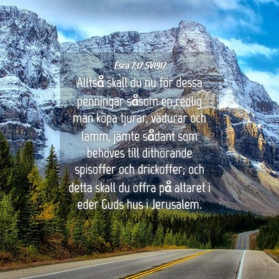Picture 04 - Esra 7:17 SV1917 - Alltså skall du nu för dessa penningar såsom - Bible Verse Picture