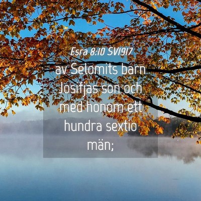 Picture 04 - Esra 8:10 SV1917 - av Selomits barn Josifjas son och med honom ett - Bible Verse Picture