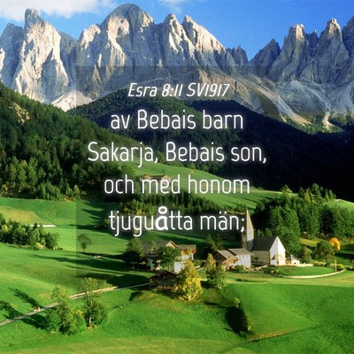 Picture 04 - Esra 8:11 SV1917 - av Bebais barn Sakarja, Bebais son, och med honom - Bible Verse Picture