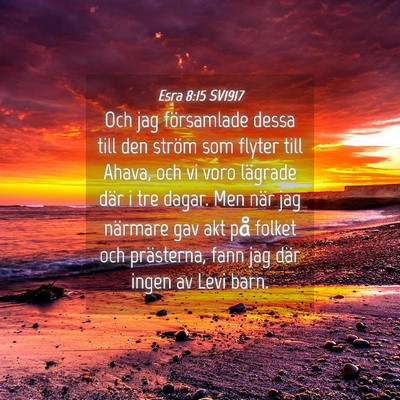 Picture 04 - Esra 8:15 SV1917 - Och jag församlade dessa till den ström som - Bible Verse Picture