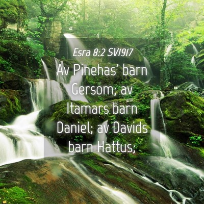 Picture 04 - Esra 8:2 SV1917 - Av Pinehas' barn Gersom; av Itamars barn Daniel; - Bible Verse Picture