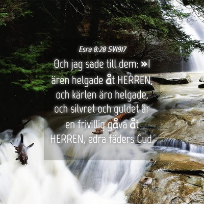 Picture 04 - Esra 8:28 SV1917 - Och jag sade till dem: »I ären helgade åt - Bible Verse Picture