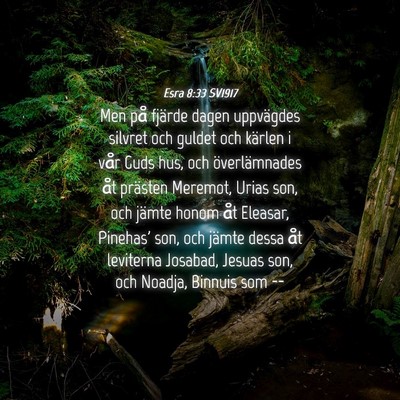 Picture 04 - Esra 8:33 SV1917 - Men på fjärde dagen uppvägdes silvret och - Bible Verse Picture