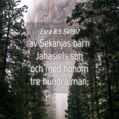 Picture 04 - Esra 8:5 SV1917 - av Sekanjas barn Jahasiels son och med honom tre - Bible Verse Picture