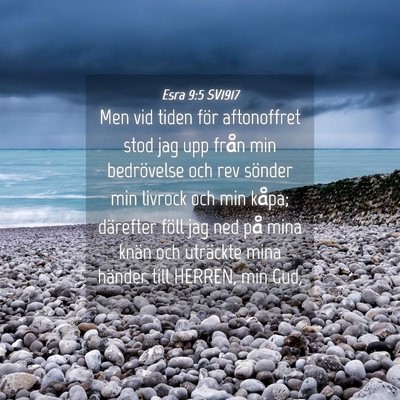 Picture 04 - Esra 9:5 SV1917 - Men vid tiden för aftonoffret stod jag upp från - Bible Verse Picture