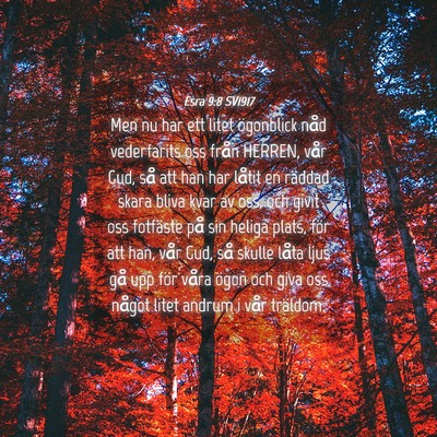 Picture 04 - Esra 9:8 SV1917 - Men nu har ett litet ögonblick nåd vederfarits - Bible Verse Picture