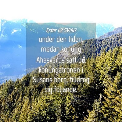 Picture 04 - Ester 1:2 SV1917 - under den tiden, medan konung Ahasveros satt på - Bible Verse Picture