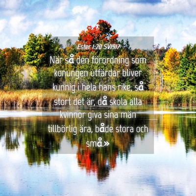 Picture 04 - Ester 1:20 SV1917 - När så den förordning som konungen utfärdar - Bible Verse Picture