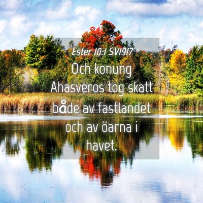 Picture 04 - Ester 10:1 SV1917 - Och konung Ahasveros tog skatt både av - Bible Verse Picture