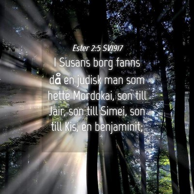 Picture 04 - Ester 2:5 SV1917 - I Susans borg fanns då en judisk man som hette - Bible Verse Picture