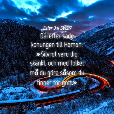 Picture 04 - Ester 3:11 SV1917 - Därefter sade konungen till Haman: »Silvret - Bible Verse Picture