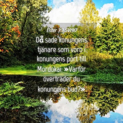 Picture 04 - Ester 3:3 SV1917 - Då sade konungens tjänare som voro i konungens - Bible Verse Picture