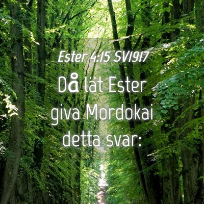 Picture 04 - Ester 4:15 SV1917 - Då lät Ester giva Mordokai detta - Bible Verse Picture