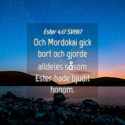 Picture 04 - Ester 4:17 SV1917 - Och Mordokai gick bort och gjorde alldeles såsom - Bible Verse Picture