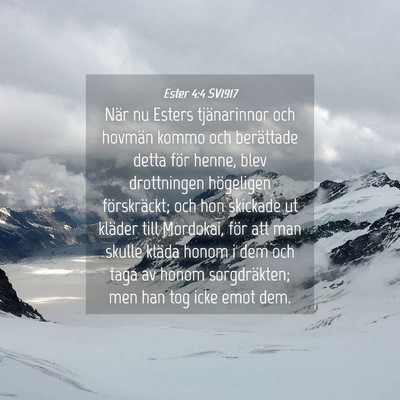 Picture 04 - Ester 4:4 SV1917 - När nu Esters tjänarinnor och hovmän kommo och - Bible Verse Picture