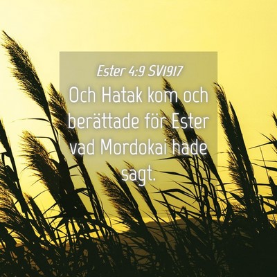 Picture 04 - Ester 4:9 SV1917 - Och Hatak kom och berättade för Ester vad - Bible Verse Picture