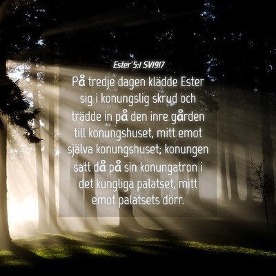 Picture 04 - Ester 5:1 SV1917 - På tredje dagen klädde Ester sig i konungslig - Bible Verse Picture