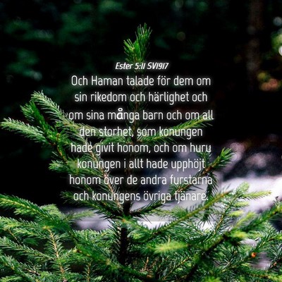 Picture 04 - Ester 5:11 SV1917 - Och Haman talade för dem om sin rikedom och - Bible Verse Picture