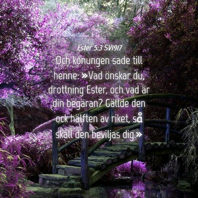 Picture 04 - Ester 5:3 SV1917 - Och konungen sade till henne: »Vad önskar du, - Bible Verse Picture