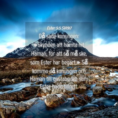 Picture 04 - Ester 5:5 SV1917 - Då sade konungen: »Skynden att hämta hit - Bible Verse Picture