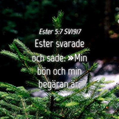 Picture 04 - Ester 5:7 SV1917 - Ester svarade och sade: »Min bön och min - Bible Verse Picture