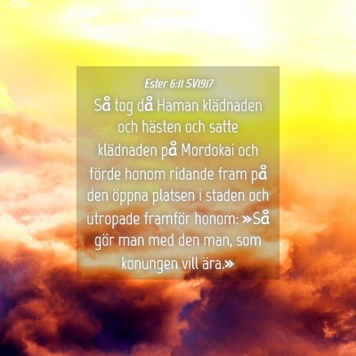Picture 04 - Ester 6:11 SV1917 - Så tog då Haman klädnaden och hästen och - Bible Verse Picture