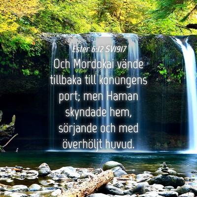 Picture 04 - Ester 6:12 SV1917 - Och Mordokai vände tillbaka till konungens port; - Bible Verse Picture