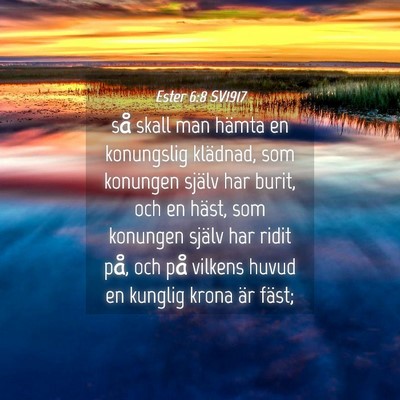 Picture 04 - Ester 6:8 SV1917 - så skall man hämta en konungslig klädnad, som - Bible Verse Picture