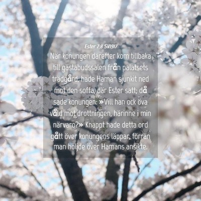 Picture 04 - Ester 7:8 SV1917 - När konungen därefter kom tillbaka till - Bible Verse Picture