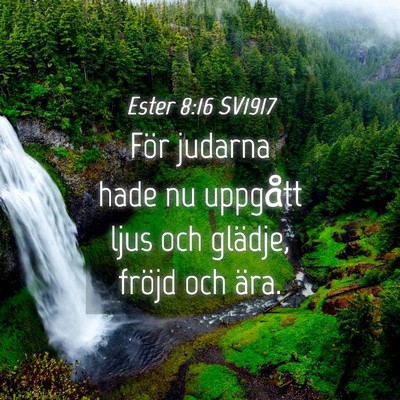 Picture 04 - Ester 8:16 SV1917 - För judarna hade nu uppgått ljus och glädje, - Bible Verse Picture