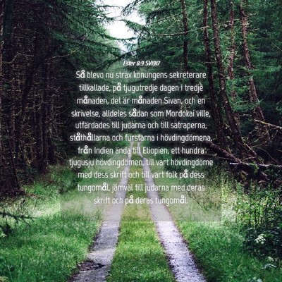 Picture 04 - Ester 8:9 SV1917 - Så blevo nu strax konungens sekreterare - Bible Verse Picture