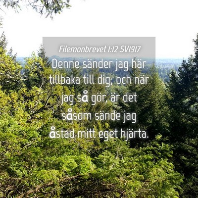 Picture 04 - Filemonbrevet 1:12 SV1917 - Denne sänder jag här tillbaka till dig; och - Bible Verse Picture
