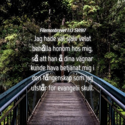 Picture 04 - Filemonbrevet 1:13 SV1917 - Jag hade väl själv velat behålla honom hos - Bible Verse Picture