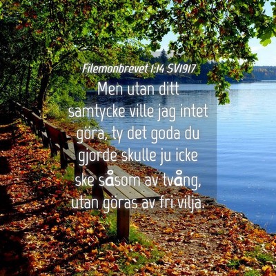 Picture 04 - Filemonbrevet 1:14 SV1917 - Men utan ditt samtycke ville jag intet göra, ty - Bible Verse Picture