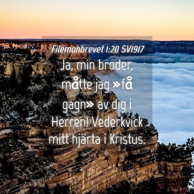 Picture 04 - Filemonbrevet 1:20 SV1917 - Ja, min broder, måtte jag »få gagn» av dig i - Bible Verse Picture