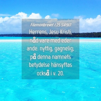 Picture 04 - Filemonbrevet 1:25 SV1917 - Herrens, Jesu Kristi, nåd vare med eder ande. - Bible Verse Picture