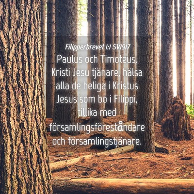Picture 04 - Filipperbrevet 1:1 SV1917 - Paulus och Timoteus, Kristi Jesu tjänare, hälsa - Bible Verse Picture