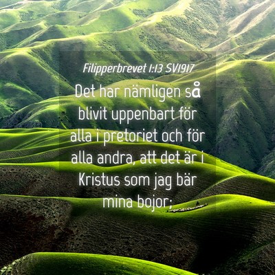 Picture 04 - Filipperbrevet 1:13 SV1917 - Det har nämligen så blivit uppenbart för alla - Bible Verse Picture