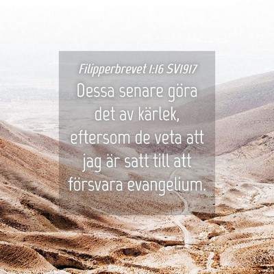 Picture 04 - Filipperbrevet 1:16 SV1917 - Dessa senare göra det av kärlek, eftersom de - Bible Verse Picture