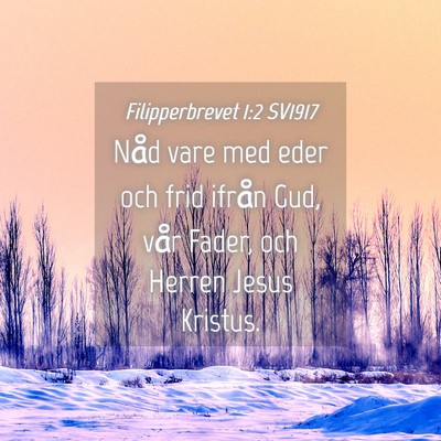 Picture 04 - Filipperbrevet 1:2 SV1917 - Nåd vare med eder och frid ifrån Gud, vår - Bible Verse Picture