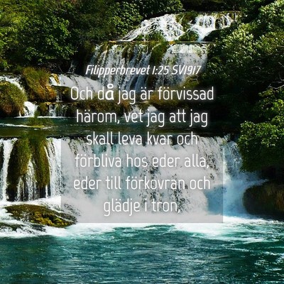 Picture 04 - Filipperbrevet 1:25 SV1917 - Och då jag är förvissad härom, vet jag att - Bible Verse Picture