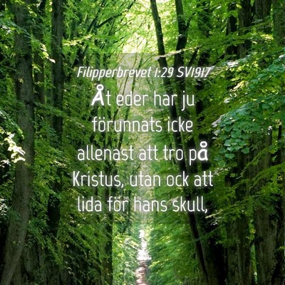 Picture 04 - Filipperbrevet 1:29 SV1917 - Åt eder har ju förunnats icke allenast att tro - Bible Verse Picture