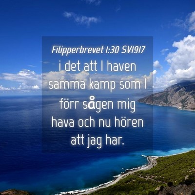 Picture 04 - Filipperbrevet 1:30 SV1917 - i det att I haven samma kamp som I förr sågen - Bible Verse Picture