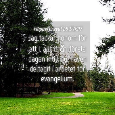 Picture 04 - Filipperbrevet 1:5 SV1917 - Jag tackar honom för att I, allt ifrån första - Bible Verse Picture